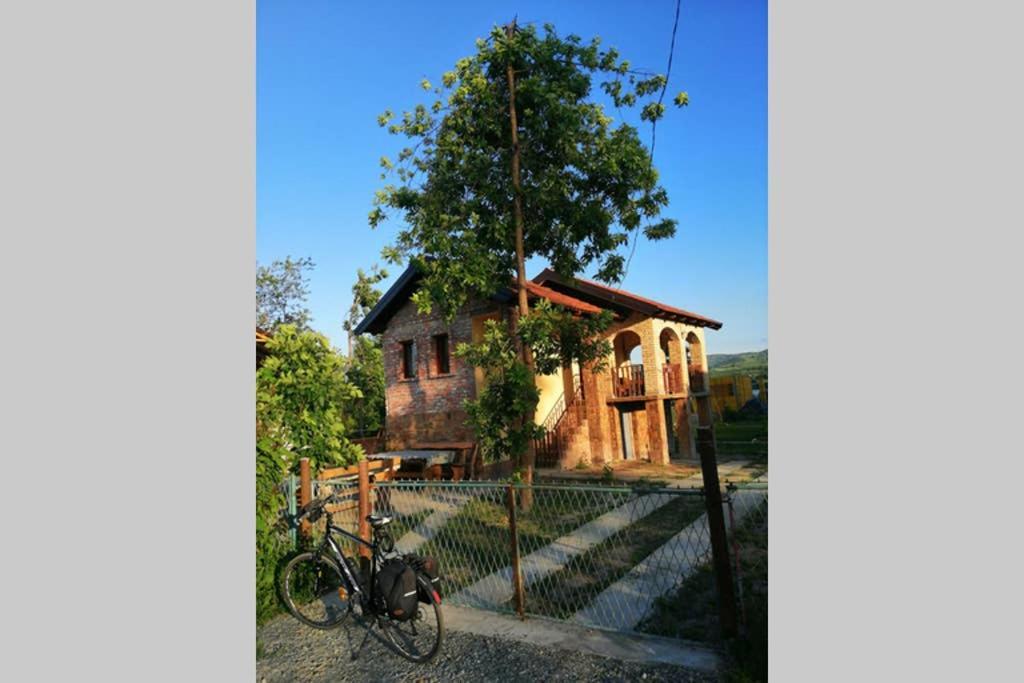 Danube Fairy Villa Futog Exterior photo